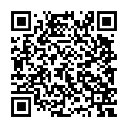 QR code for NPL463