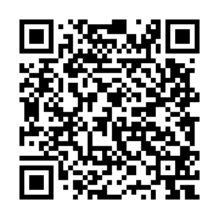 QR code for NPL500