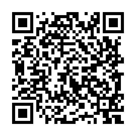 QR code for NPL991
