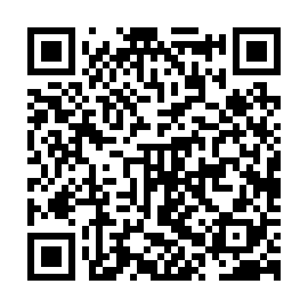 QR code for NPP228