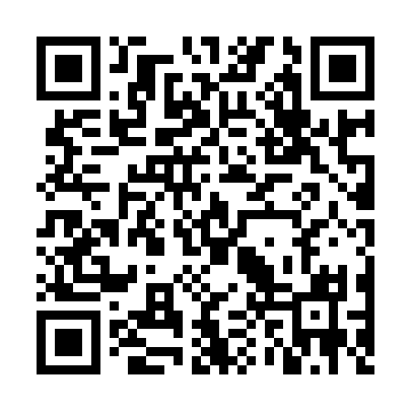 QR code for NPP931