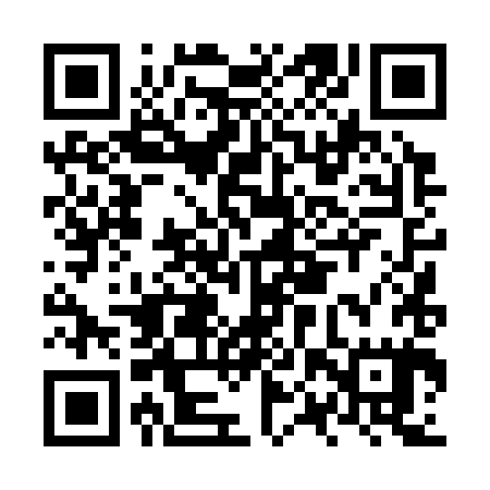 QR code for NPT385
