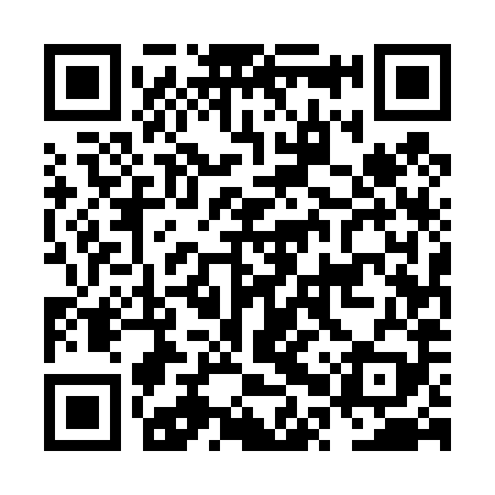 QR code for NPU489