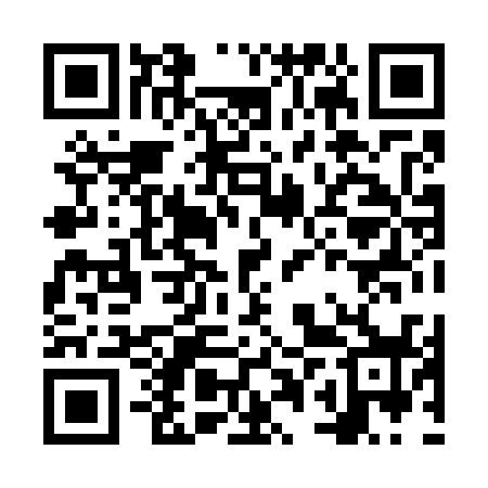 QR code for NPX738