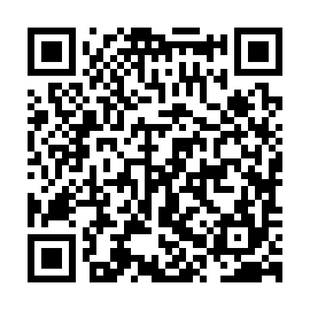 QR code for NPZ394