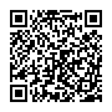 QR code for NPZ453