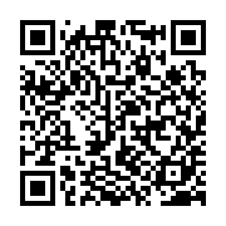 QR code for NQG381