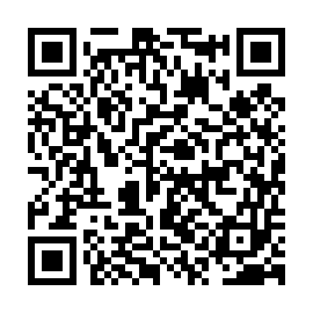 QR code for NQI453