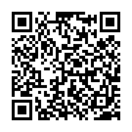 QR code for NQL493
