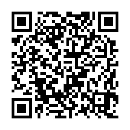 QR code for NRP383