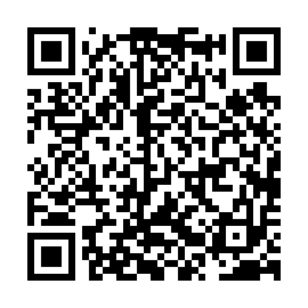 QR code for NRP613