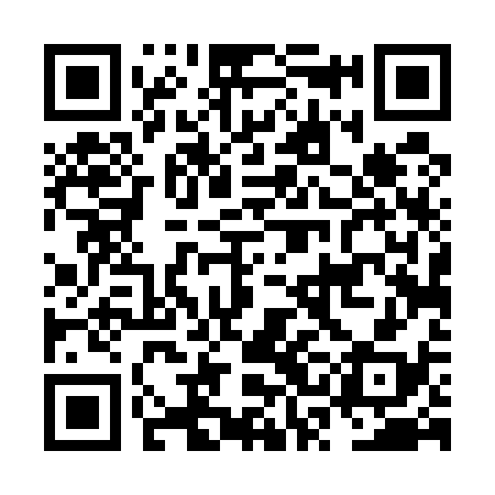 QR code for NSD538