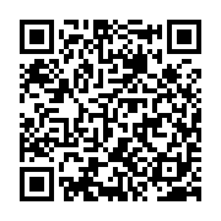 QR code for NSE991