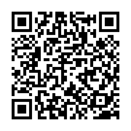 QR code for NSI038