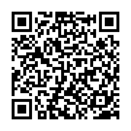 QR code for NSI335