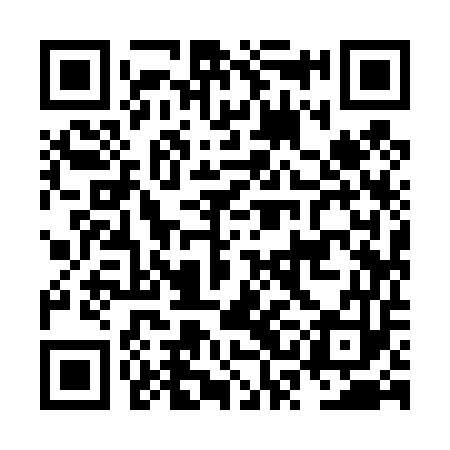 QR code for NSI453