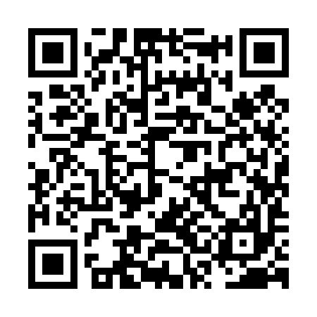 QR code for NSI497