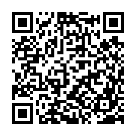 QR code for NSI666