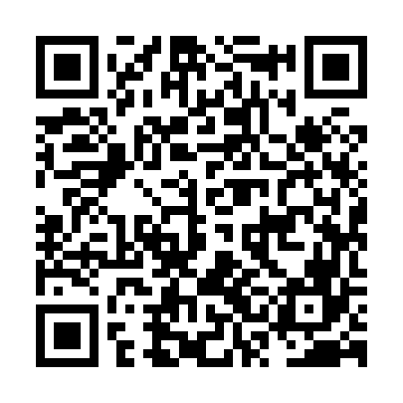 QR code for NSI866