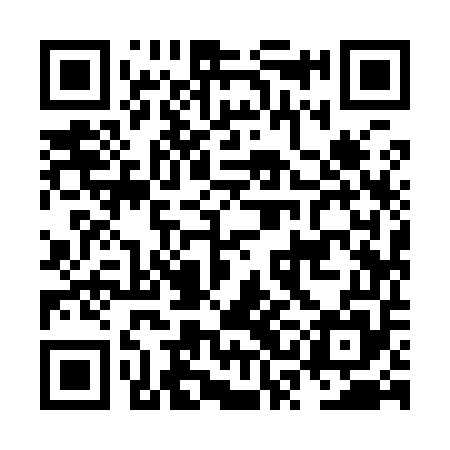 QR code for NSI955
