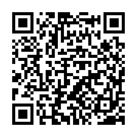 QR code for NSJ313