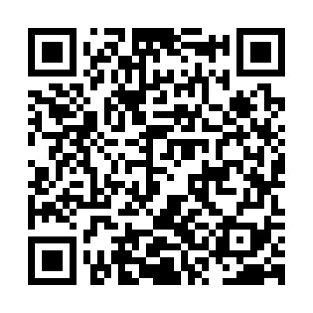QR code for NSK379