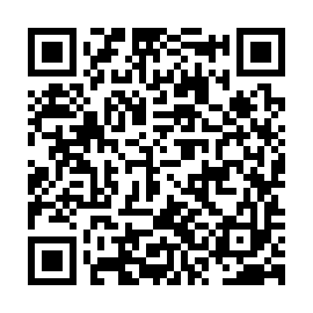 QR code for NSK393