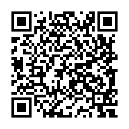QR code for NSL991