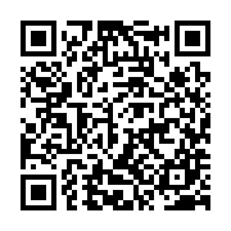 QR code for NSM387
