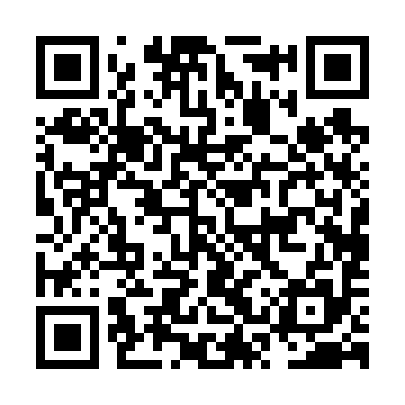 QR code for NSP695