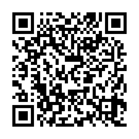 QR code for NSR939