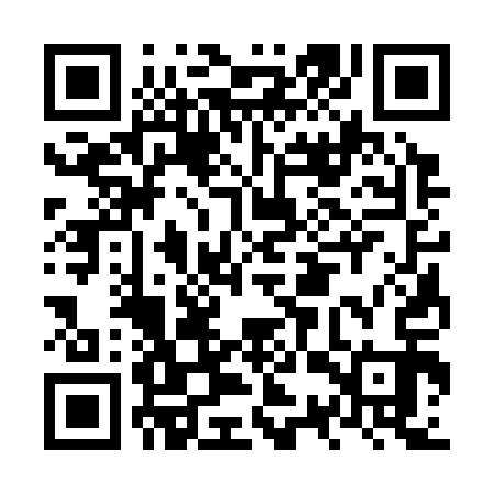 QR code for NSS313