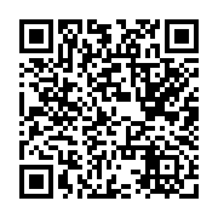 QR code for NSS393