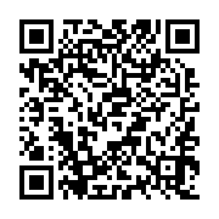 QR code for NST250