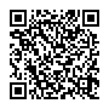 QR code for NST338