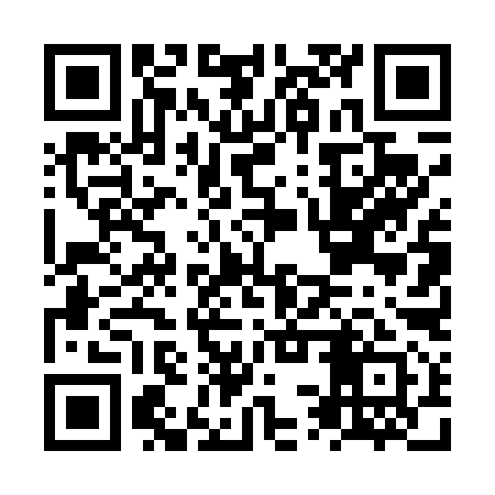 QR code for NST491