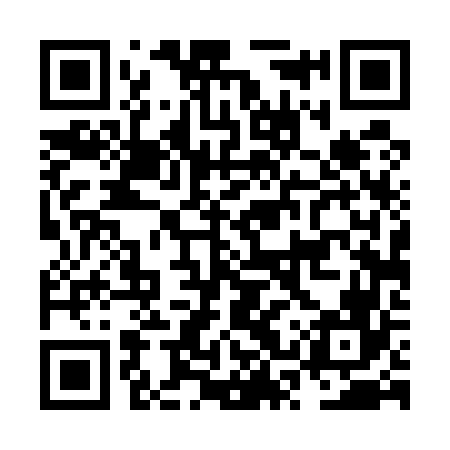 QR code for NST566