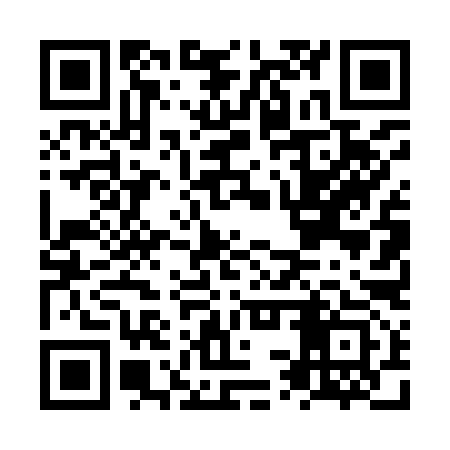 QR code for NST993