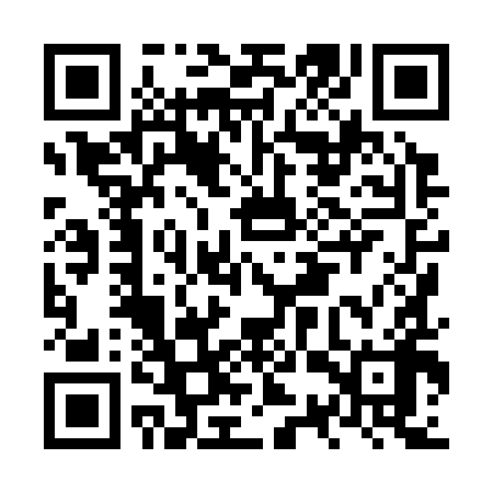 QR code for NSX398