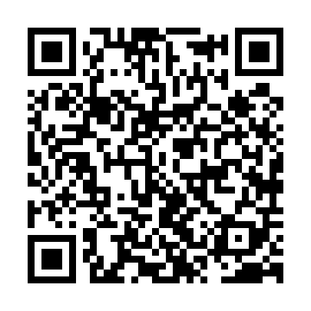 QR code for NSX509