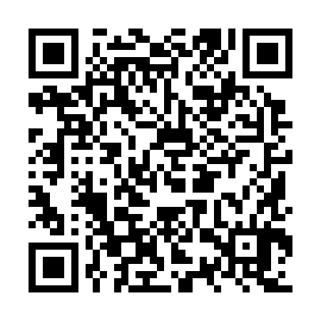 QR code for NSY384