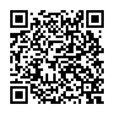 QR code for NTS313