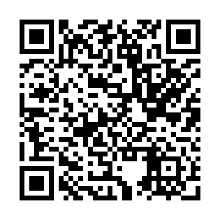 QR code for NUR941