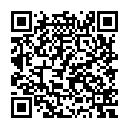 QR code for NUX919