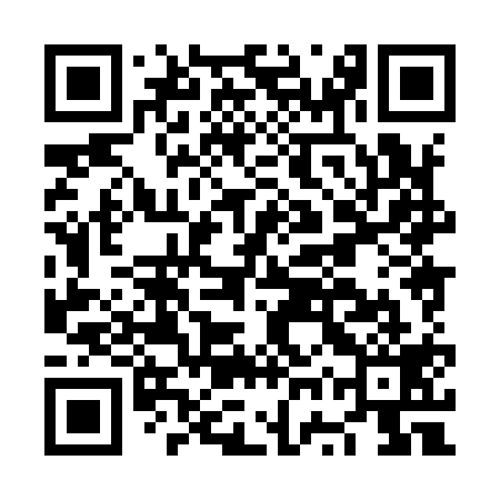 QR code for NWX919