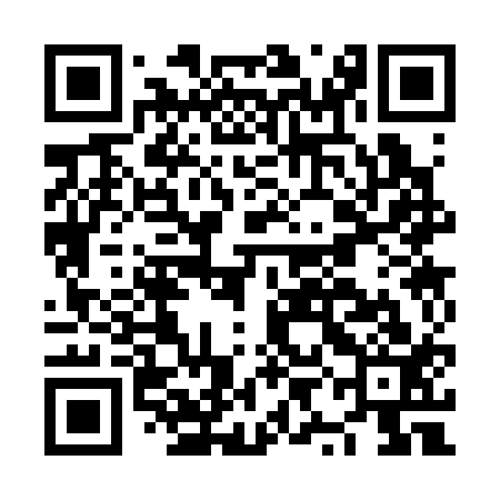 QR code for NYC313