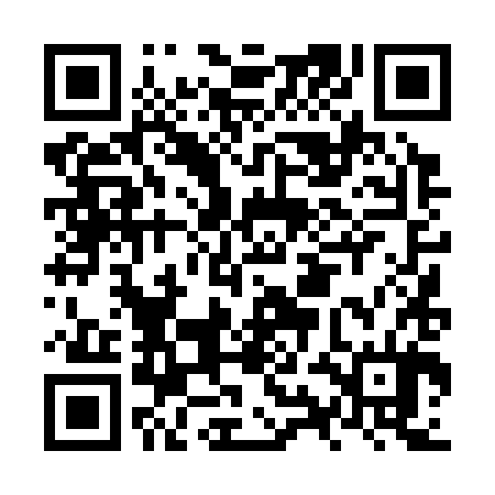 QR code for NYD384