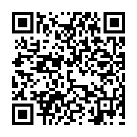 QR code for NYE334