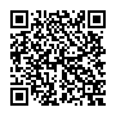 QR code for NYE536