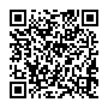 QR code for NYE953